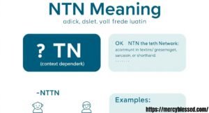 NTN Meaning – A Guide to NTN Definition & Uses in Text