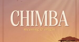 Chimba Meaning: What It Really Means in Chat and Text (Updated for 2025)