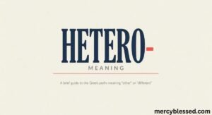Hetero Meaning: What “Hetero” Really Means in Chat, Texts & Online Slang