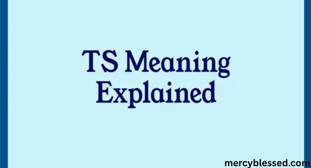 What Does TS Mean in Text? Full Guide And Explanation 